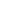 Spectacle lenses icon